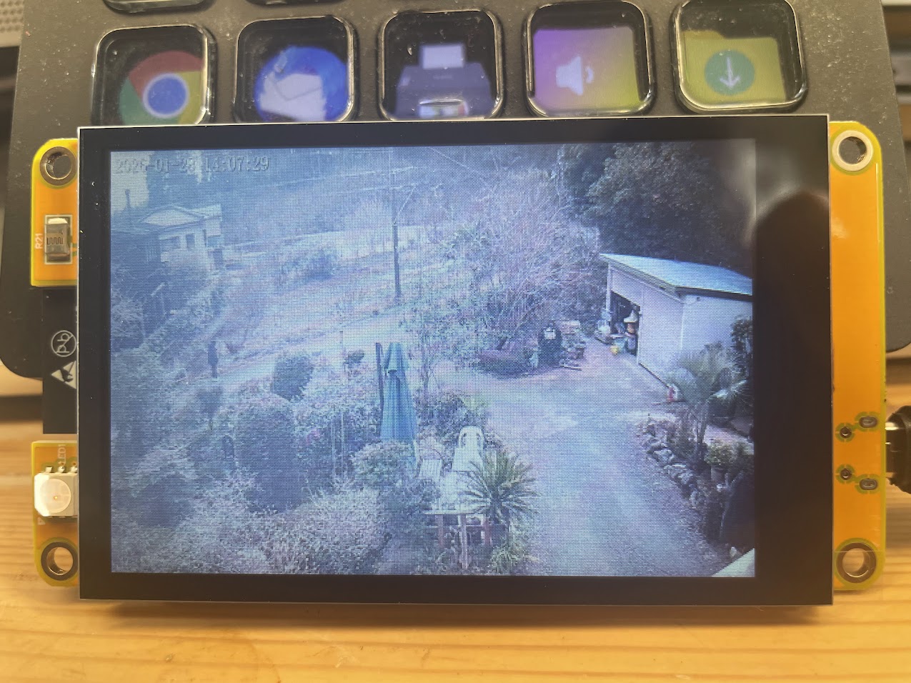 ガーデンカメラ映像